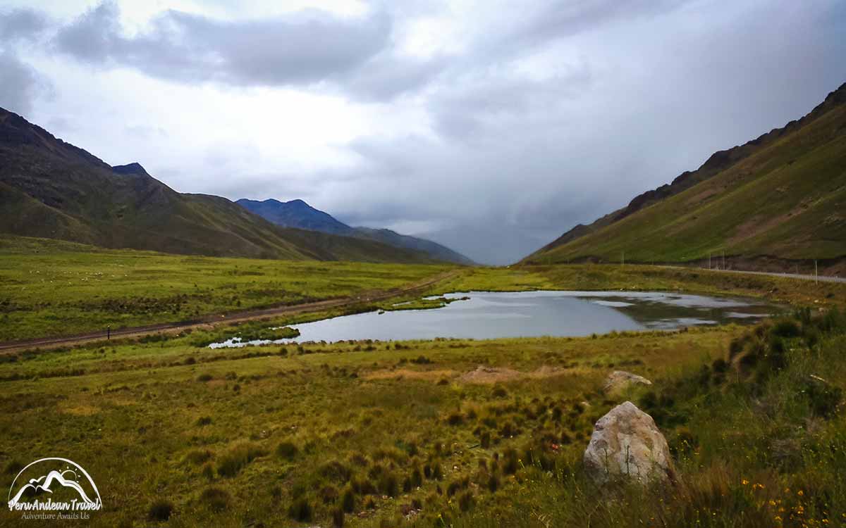 la raya cusco puno bus